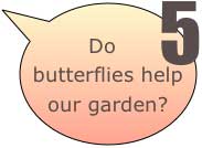 Do ladybugs help our garden?