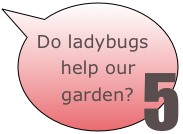 Do ladybugs help our garden?